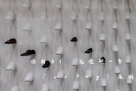 信用卡1萬元逾期一年應(yīng)還款項(xiàng)及利息是多少？